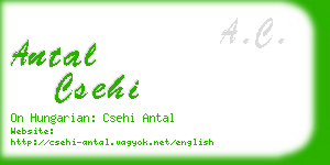 antal csehi business card